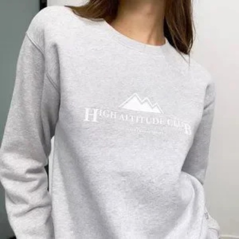 Aritzia grey crew neck